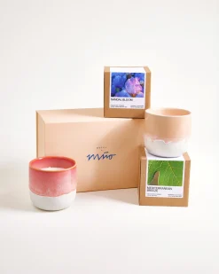 Hot Coimbra - Gift set Scented candle apricot pink 3 pieces Duftkerzen