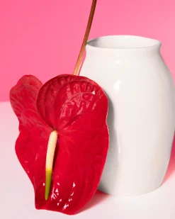 Outlet Sombra vase M Mittlere Vasen